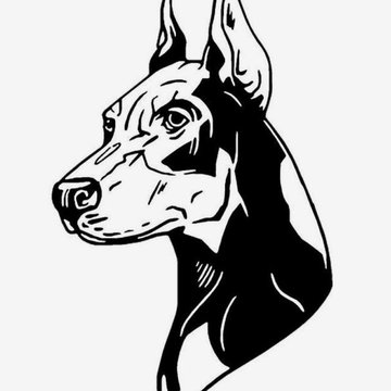 1639701648_35-flomaster-club-p-doberman-sketching-krasivie-zarisovki-36