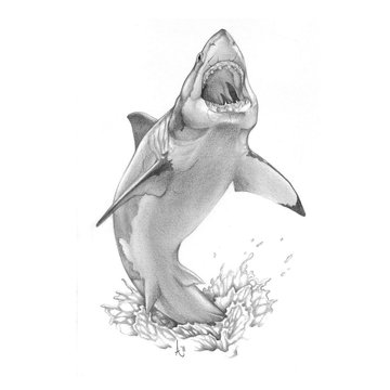 1655369620_28-papik-pro-p-tattoo-drawings-shark-28
