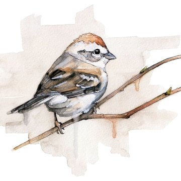 1656083063_32-papik-pro-p-funny-drawings-sparrow-35