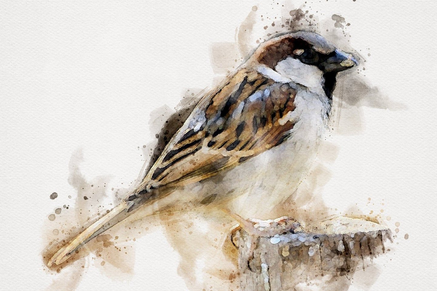 340795da075b9fe878e5dc91f3e97fab