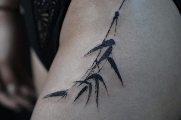 358395179_18222131947232577_4423058536545417951_n