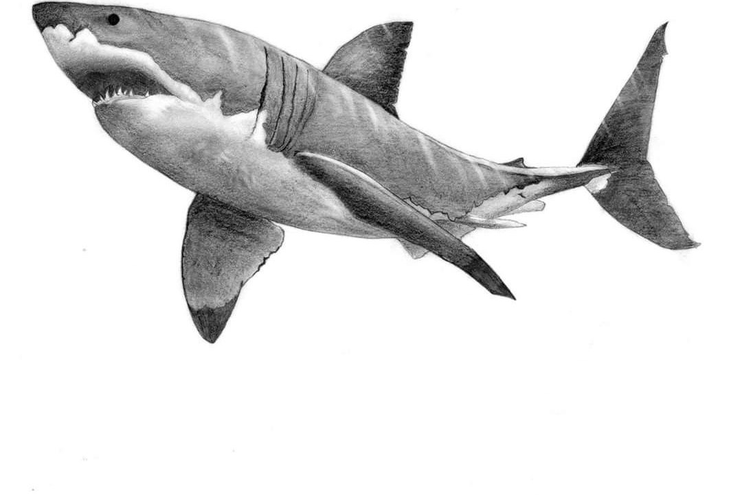 3b0e996d81228cdf6a5eb52a14785fba