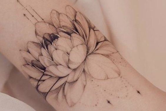 5558f197bcce407a67d90017e18af9fc