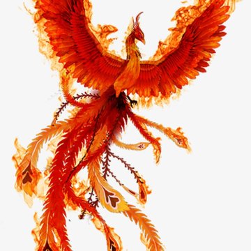 5e64e08a46dcdd89ff734f11f149f97c