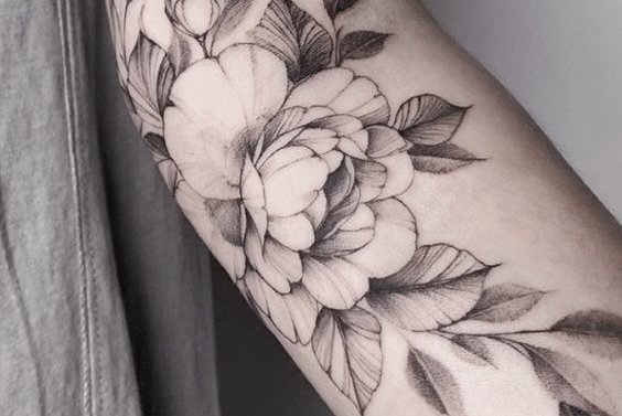 7ade136986721bdfb00eae965816583f