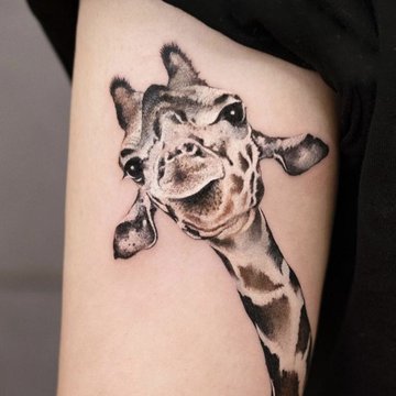 8003d39f6ab96a7d4d7f0fe9e5c2e1d3