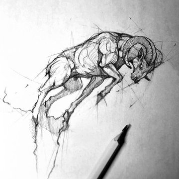 8e6bb7c935b0212507518b0d88804eba