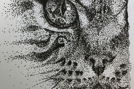 992a35955a44e212eb93e8f2e7eb08a0