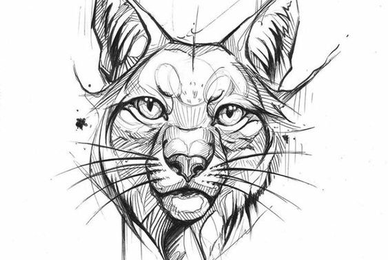 Black and white sketches (8)