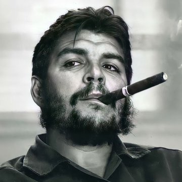Che Guevara  (18)