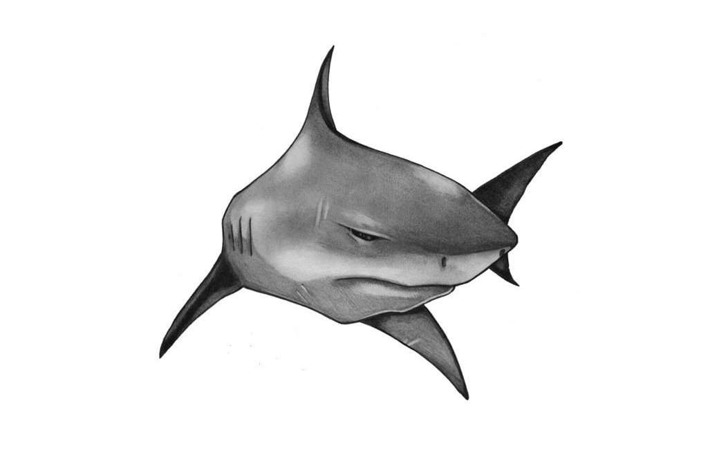 Classic-Black-And-Grey-Shark-Tattoo-Design