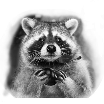 Inked79a108a77bd50bdbc1af42dbaec05132