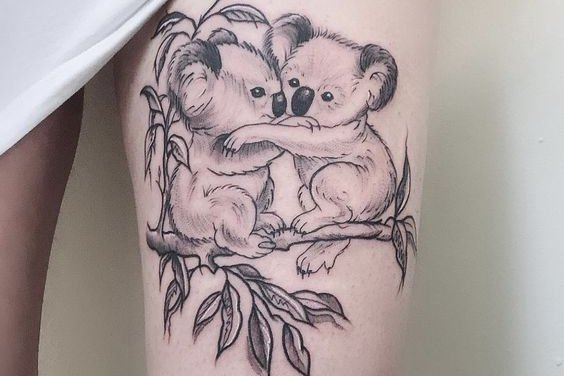 Koala (20)