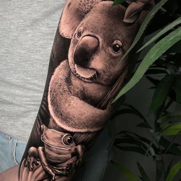 Koala (29)