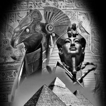 Pharaoh(22)