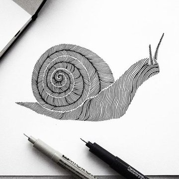 Snail (7)
