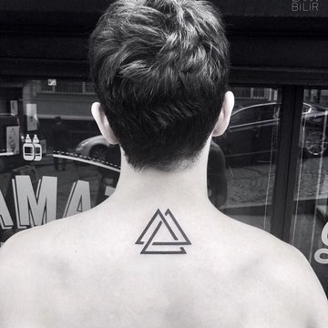 Теугольник (15)