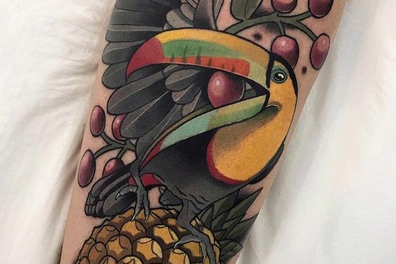 Toucan (5)
