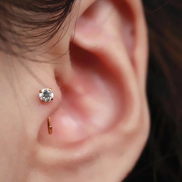 Tragus18