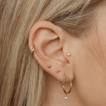 Tragus19