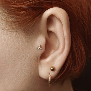 Tragus24