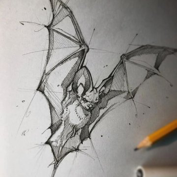 e1d9421e432df1fc8f381aad13379b64