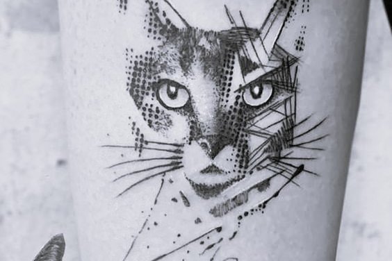 файнлайн 2.4