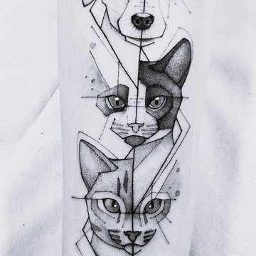 файнлайн 2.5