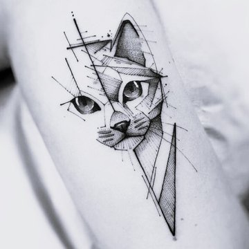 файнлайн 2.6