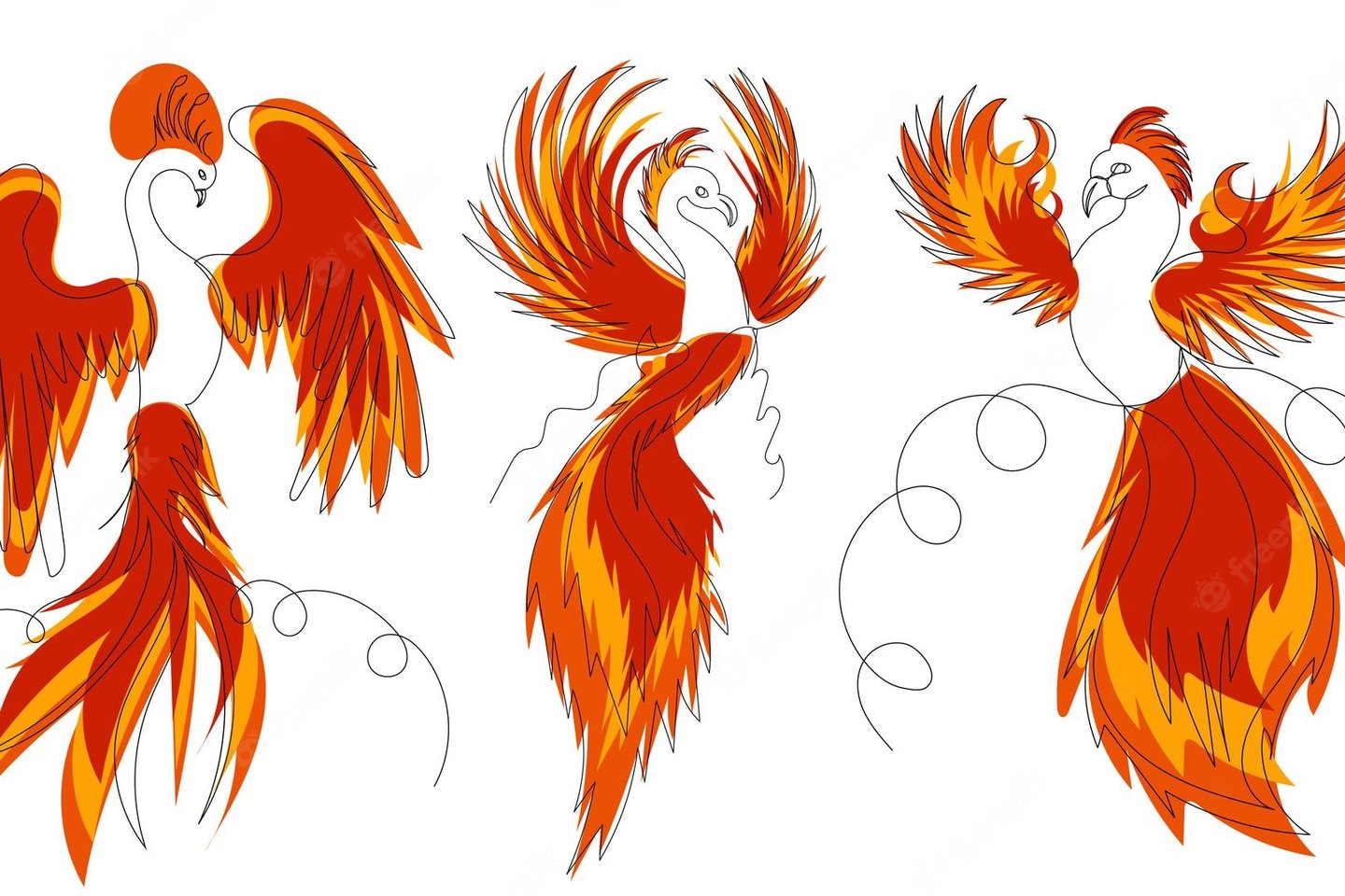 firebird-phoenix-sketch-drawing-in-one-continuous-line_566661-2666