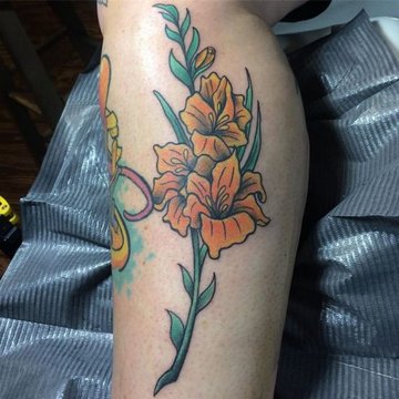 гладиолус (10)