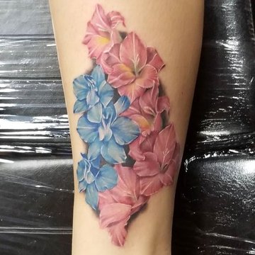 гладиолус (14)