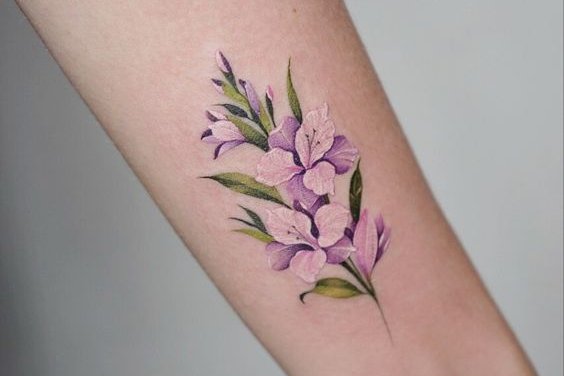 гладиолус (34)