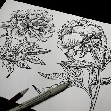 гравюра  (40)