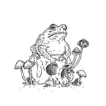 il_fullxfull.2562782196_7gix