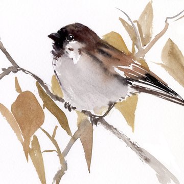 il_fullxfull.3921934162_79nn