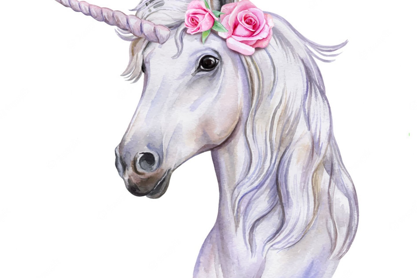 unicorn-with-wreath-flowers-white-horse-portrait-watercolor_119039-16