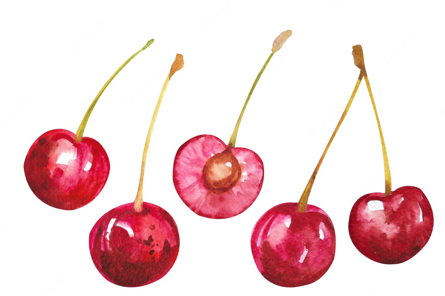 watercolor-cherry-several-red-ripe-cherries-cut-half_612990-161