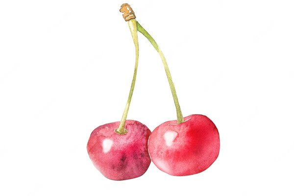 watercolor-red-cherries_307397-212